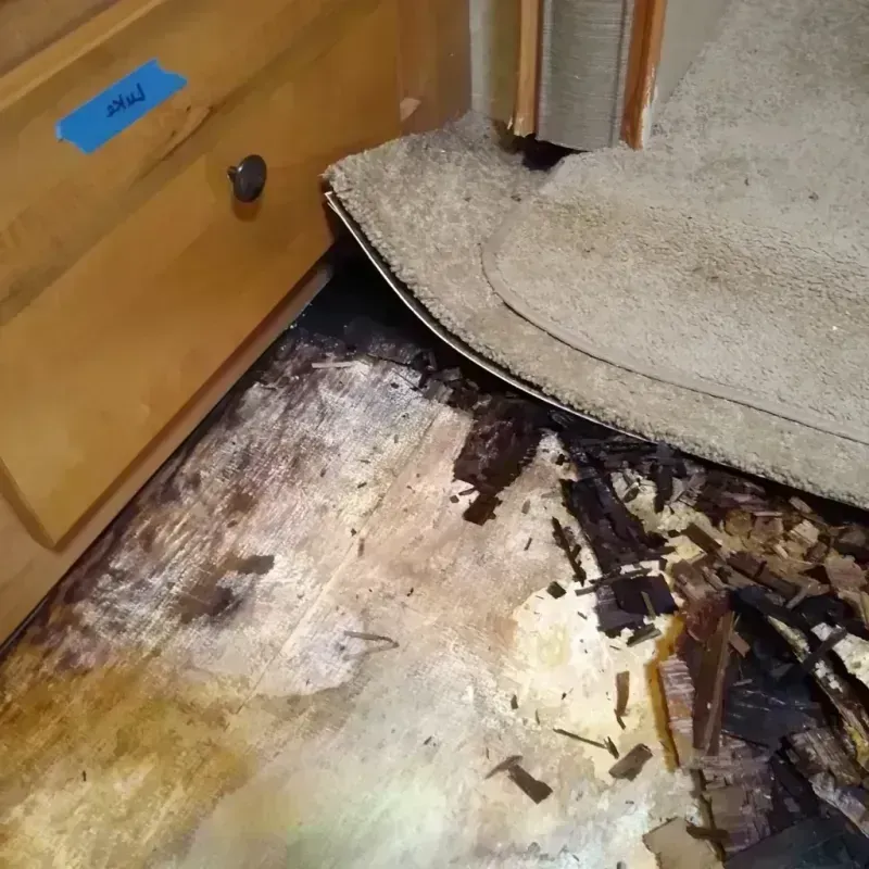 Wood Floor Water Damage in Jacksonville, IL